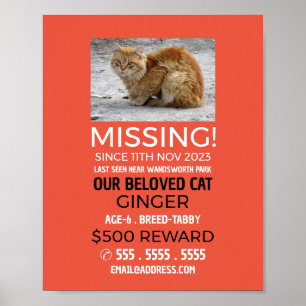 Poster Fotografia Personalizada, Pet Ausente e Perdido