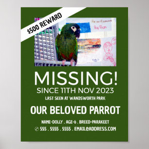 Poster Fotografia Personalizada, Pet Ausente e Perdido