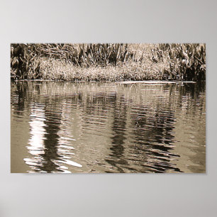 Póster Fotografia Pond Sepia