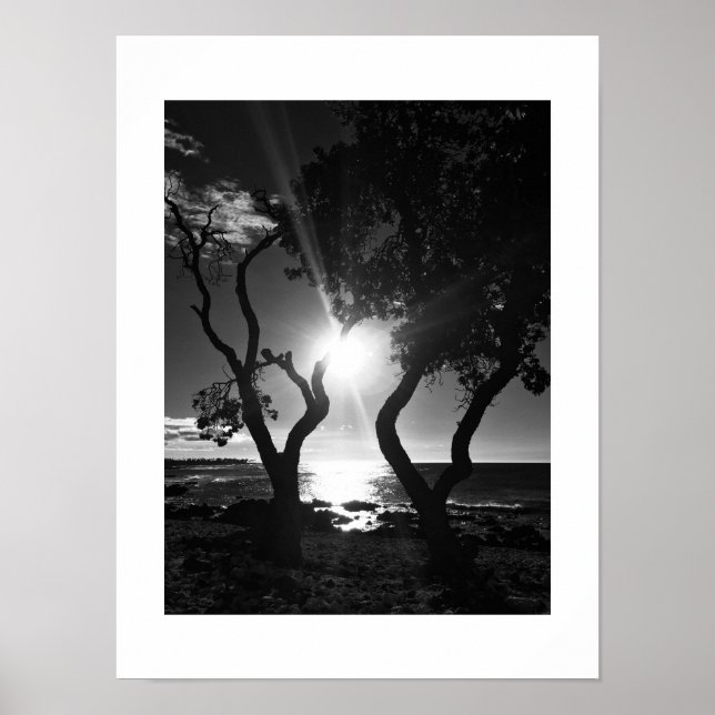 Poster Fotografia Preta e Branca de Sunlit Shore Hawaii (Frente)