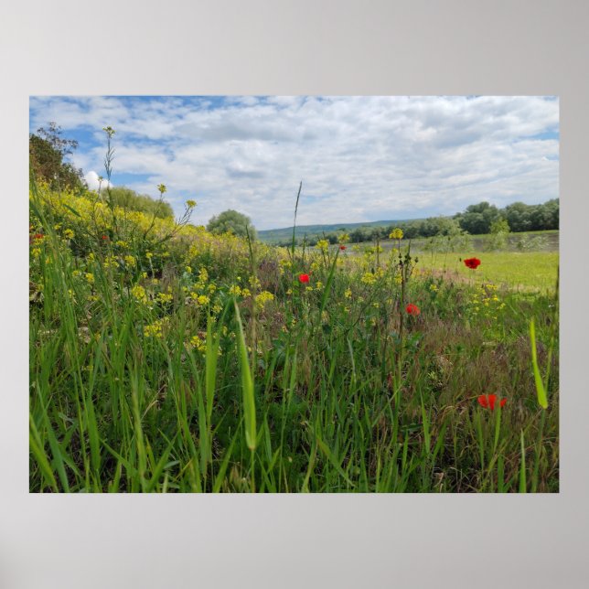 Poster Fotografia primavera (Frente)