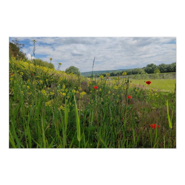 Póster Fotografia primavera (Frente)