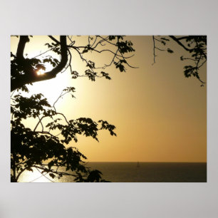 Poster Fotografia Tropical II através do Sol