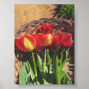 Poster Fotografia Vintage - Cesta de Fazenda Tulip