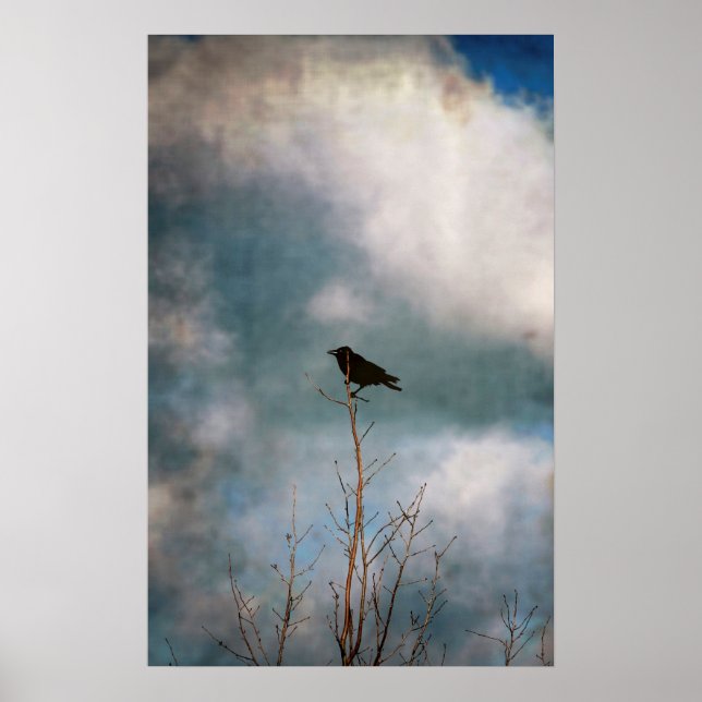 Poster Fotografia vítrea de um corvo numa árvore (Frente)