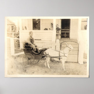 Poster Fotografias antecipadas de Crianças, ponto 04