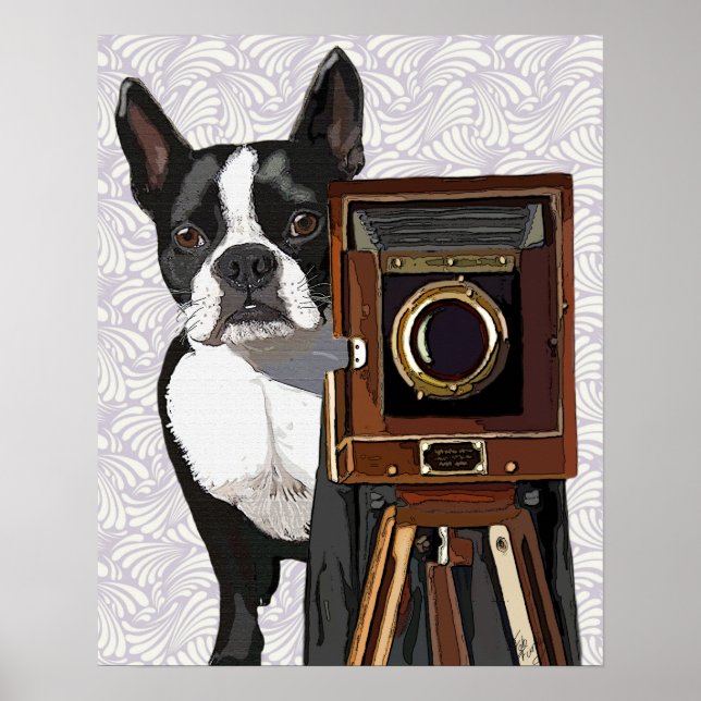Póster Fotógrafo de Boston Terrier (Frente)