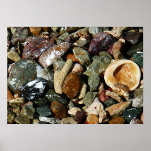 Póster Fotos da Natureza de Conchas, Rochas e Coral
