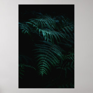POSTER FOUGERES