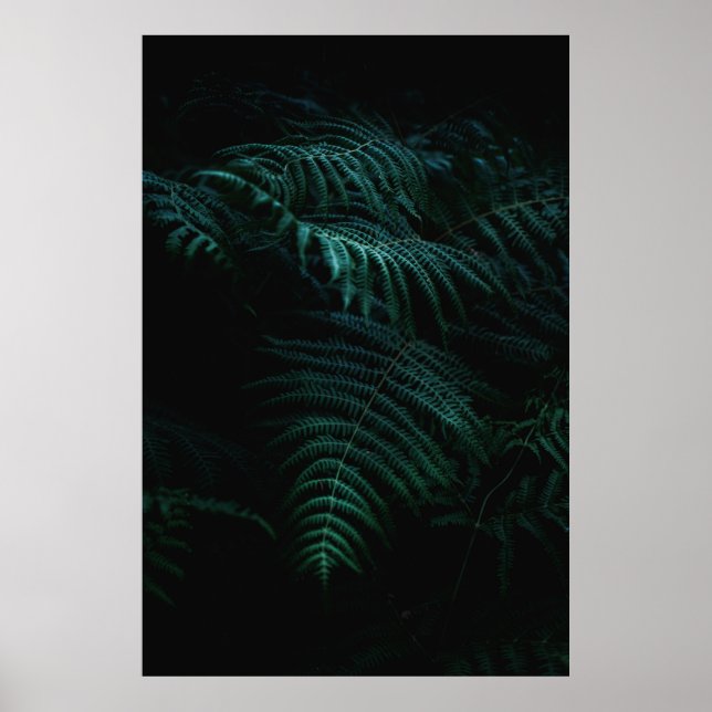 POSTER FOUGERES (Frente)