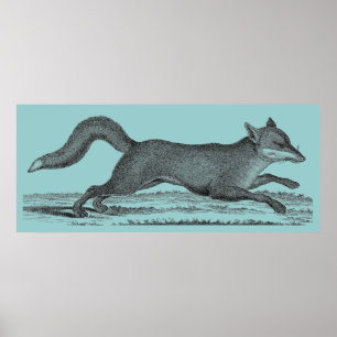 Póster Fox