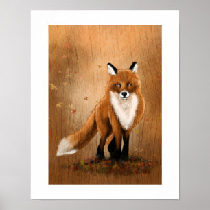 Póster Fox da queda