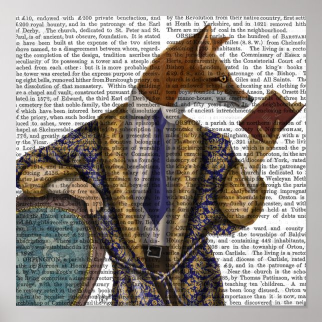 Poster Fox do Leitor de Livros (Frente)