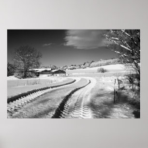 Poster Fox Hill Fazenda