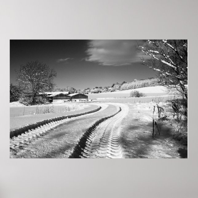 Poster Fox Hill Fazenda (Frente)