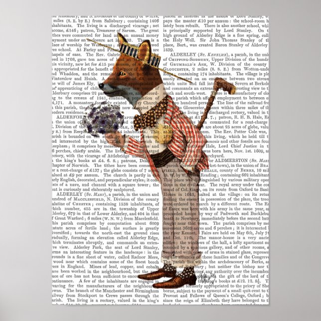 Póster Fox in Boater (Frente)