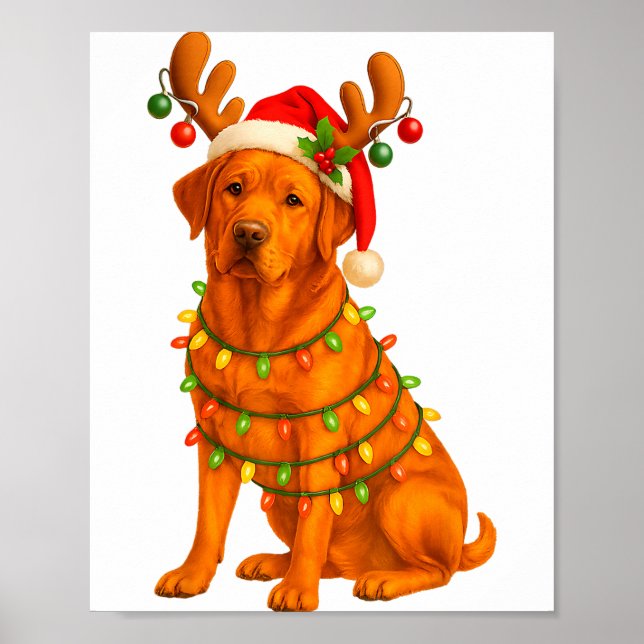 Poster Fox Red Lab Christmas Tree Light Pajama Labrador D (Frente)