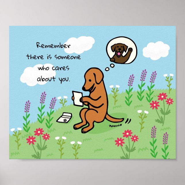 Poster Fox Red Labrador e Letra Alguém se Preocupa (Frente)