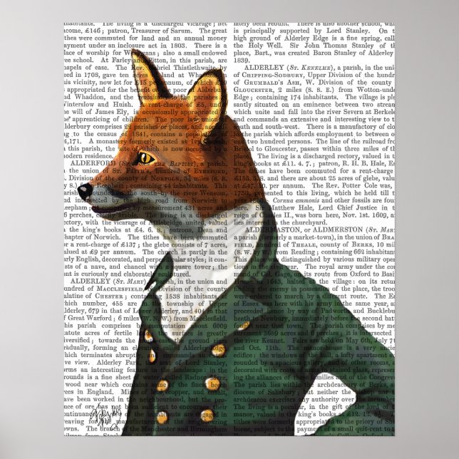 Póster Fox Retrato (Frente)