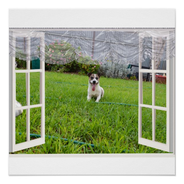 Póster Fox Terrier venha jogar, Poster (Frente)