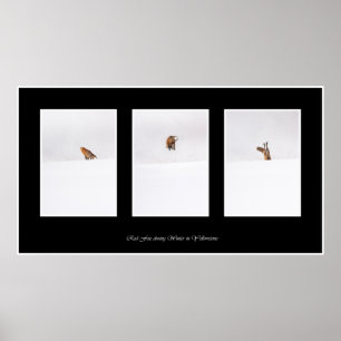 Póster Fox vermelho