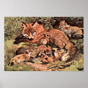 Póster Fox Vixen com Cubs de Austen, Vintage Wild Animal
