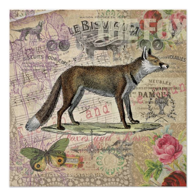 Póster Fox Wildlife Vintage Animal Illustration (Frente)