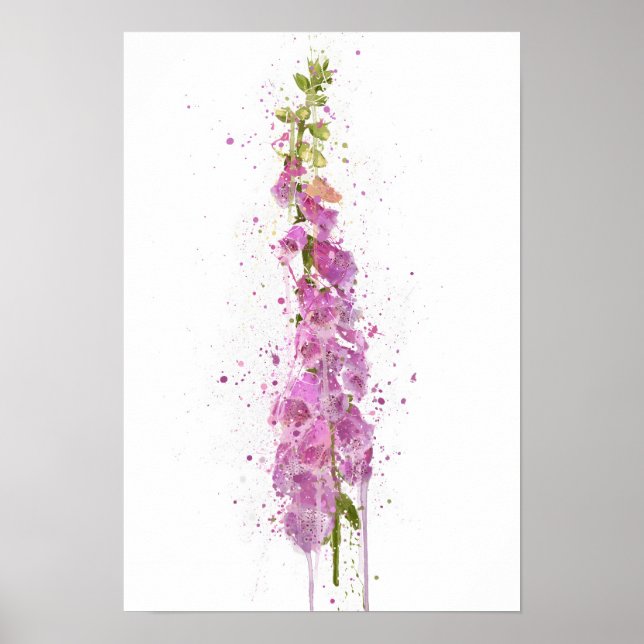 Poster Foxglove (Frente)