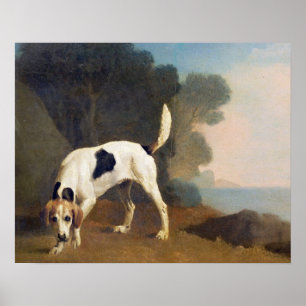 Póster Foxhound no perfume, c.1760 de George Stubbs  