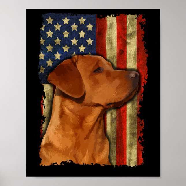 Poster Foxred Labrador Retriever Us Flag Fox Red Labrador (Frente)