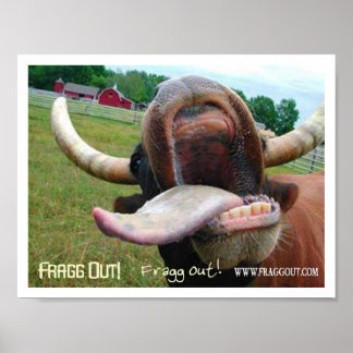 Póster frade de língua bovina