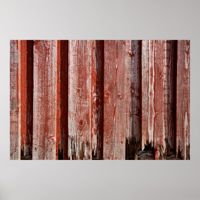 Poster Fragmento de uma velha parede de madeira pintada.  (Frente)