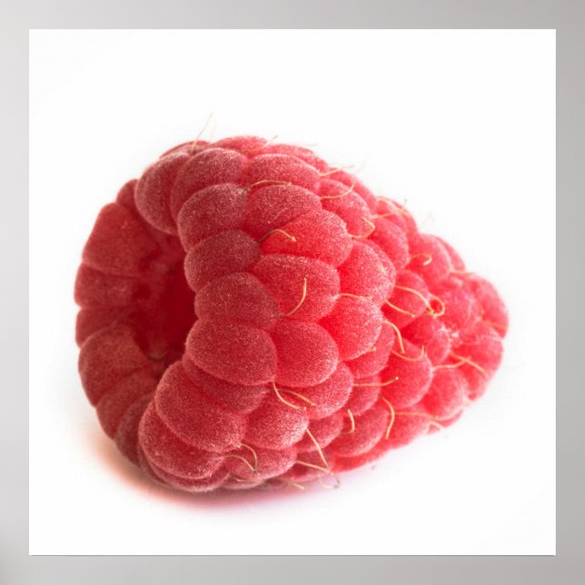 Póster Framboesa (Frente)