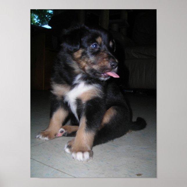 Póster Framboesa (Frente)