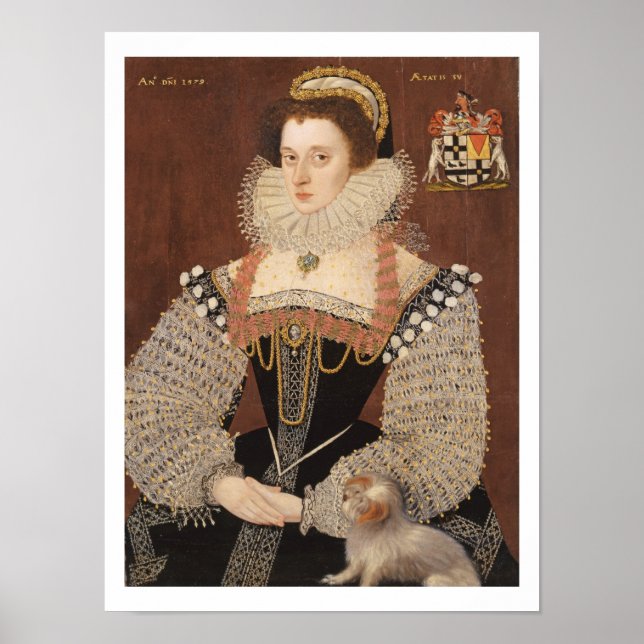 Póster Frances Clinton, Lady Chandos (1552-1623) 1579 (oi (Frente)