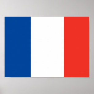 Poster francês da bandeira