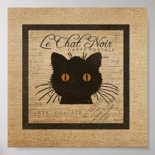 Poster Francês de Serapilheira Le Conversa Noir o gato