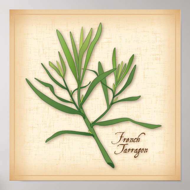 Póster Francês Tarragon Herb (Frente)