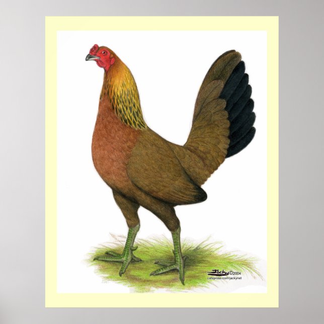 Poster Franga de Briga:  Crista de ervilha (Frente)