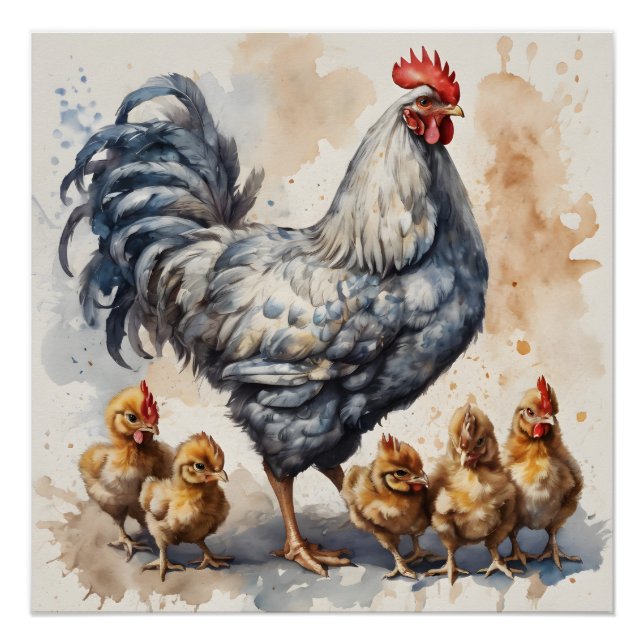 Póster Frango Aquarela com Pintinhos n.o 2 (Frente)