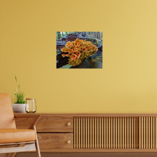 Poster Frango Laranja do Cogumelo Woods