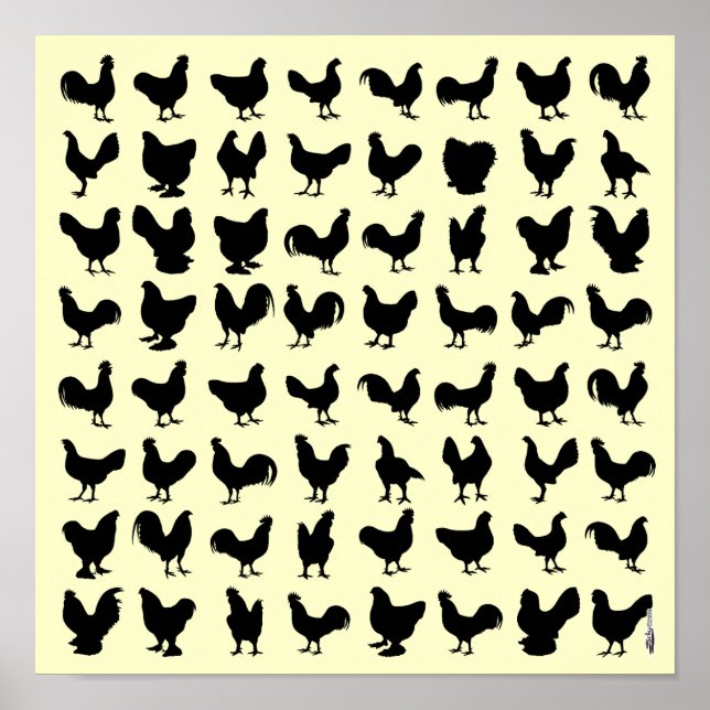Poster Frango Silhouettes (Frente)