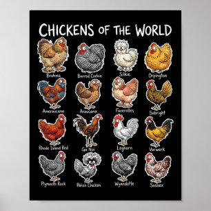 Poster Frangos Do Mundo Amante De Animais De Fazenda Cami