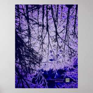 Póster Franja Neural