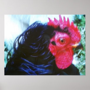 Póster Frasco Preto (Invisível)