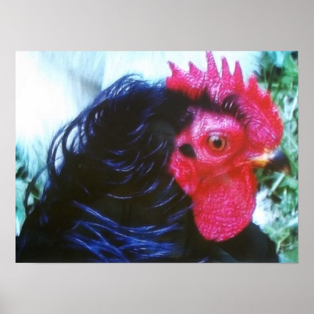 Póster Frasco Preto (Invisível) (Frente)