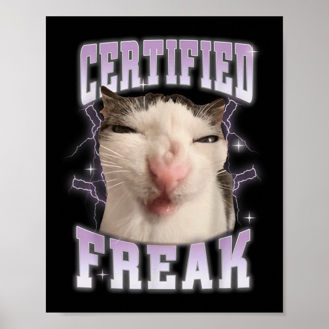 Poster Freak Certificado Coma Cimento Gato Amaldiçoado Ga (Frente)