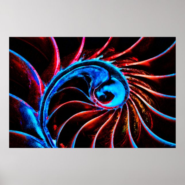 Poster Freaky Nautilus (Frente)