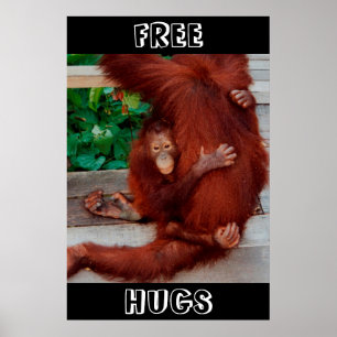 Poster Free Hugs Borneo orangutan
