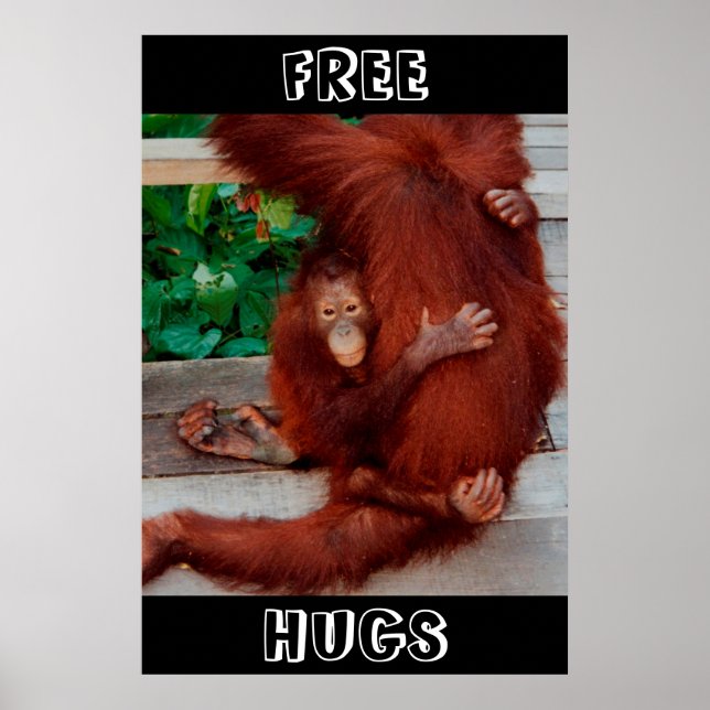Poster Free Hugs Borneo orangutan (Frente)